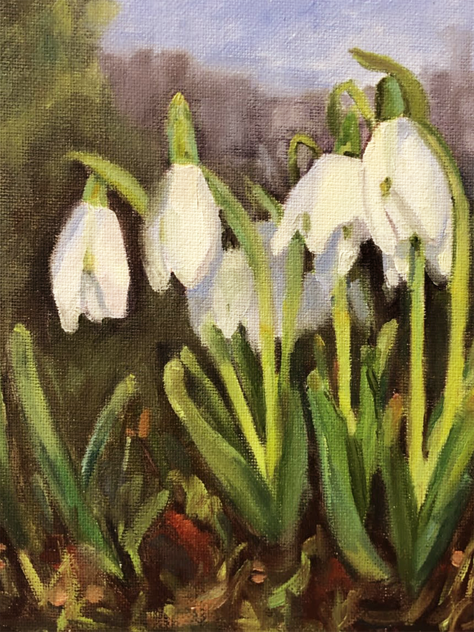 1 Jan Snowdrops 4 x 3.png