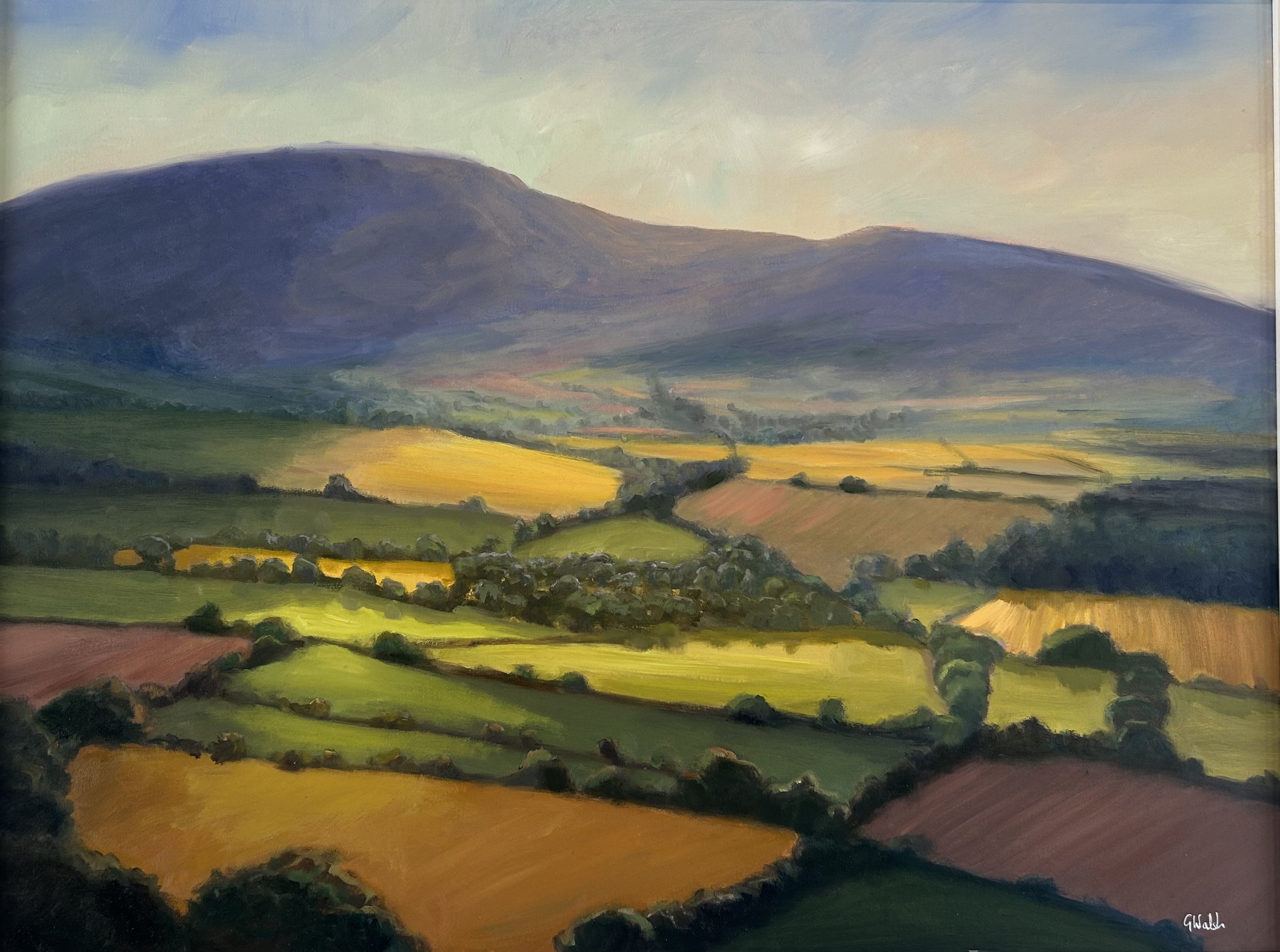 Landscape oil painting of the Blackstairs Mountains in Ireland under a soft, clouded sky with golden fields in the foreground.