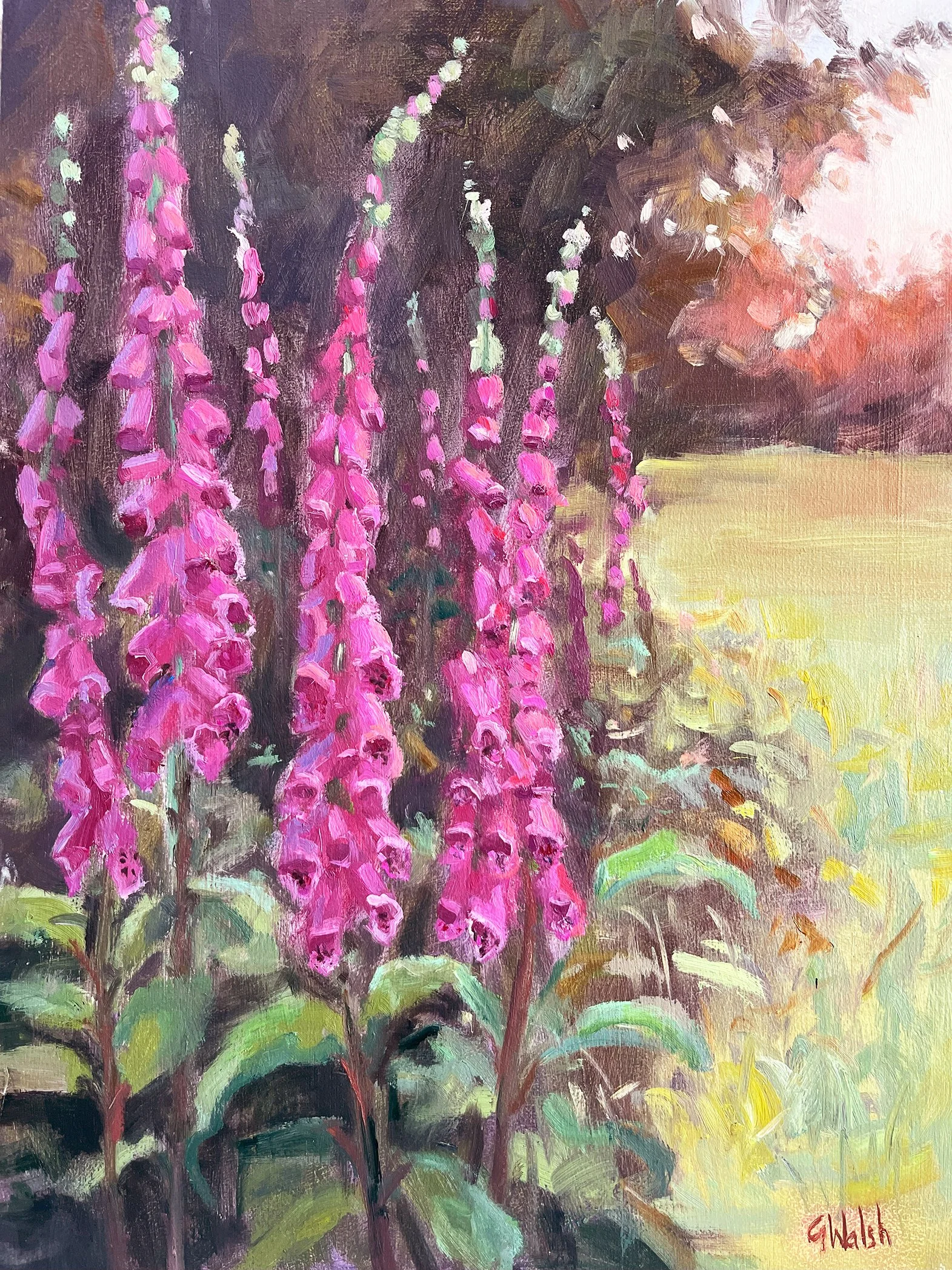 7 July foxgloves.jpg
