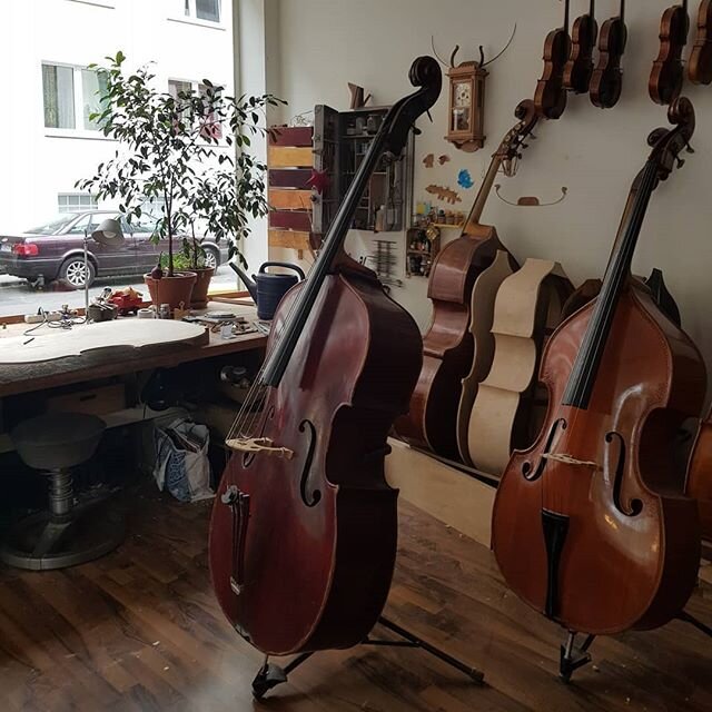 Sorry, I just want to pretend of my gorgeous bass😍😍😍
Thanks Beni and Annegret for taking care of him and my bows
@griesshaber&amp;mayer-lindenberggeigenbau