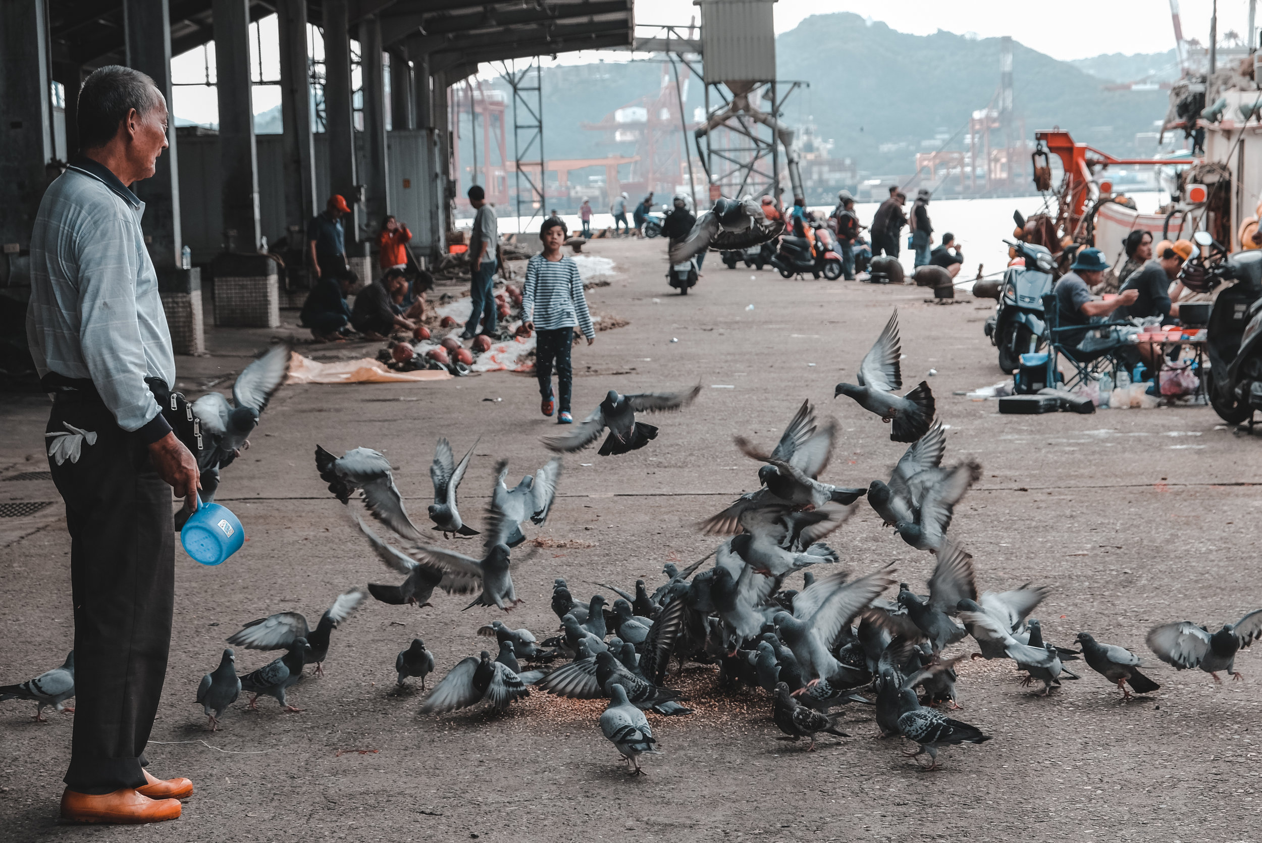 DSCF5738.jpg
