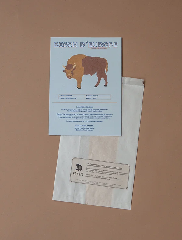 Le bison d'Europe - Les fiches sur les animaux rares de Kakapo - Info et illustration sur le bison bonasus - Kakapo Paris - Marque responsable - Made in France