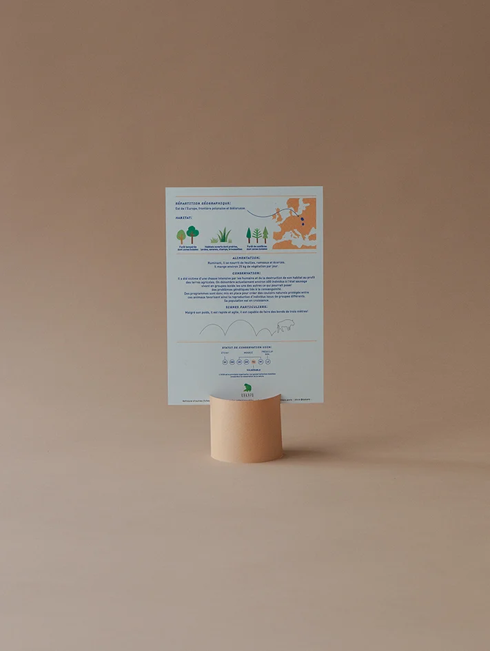 Le bison d'Europe - Les fiches sur les animaux rares de Kakapo - Info et illustration sur le bison bonasus - Kakapo Paris - Marque responsable - Fabriqué en France