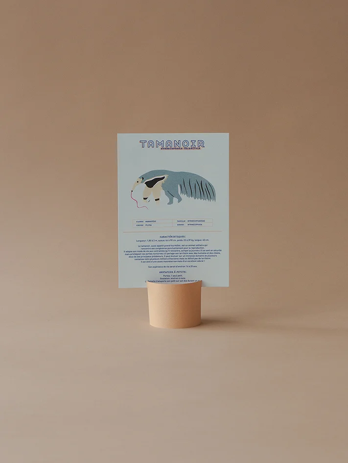Le tamanoir - Les fiches sur les animaux rares de Kakapo - Info et illustration sur le Myrmecophaga tridactyla - Kakapo Paris - Marque responsable - Nouveauté - Made in France - Artisanat français