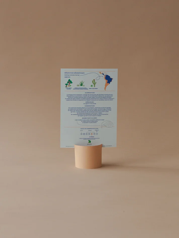 Le tamanoir - Les fiches sur les animaux rares de Kakapo - Info et illustration sur le Myrmecophaga tridactyla - Kakapo Paris - Marque responsable - Cadeau made in France - Paper cut - Nature