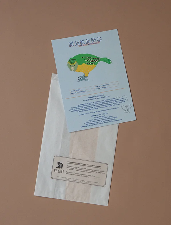 Fiche kakapo et son packaging. Nouveauté ! Fiches animaux rares. Info et illustration sur le strigops habroptila. Kakapo Paris. Atelier de création. Inspi Nature. Fabrication française responsable.