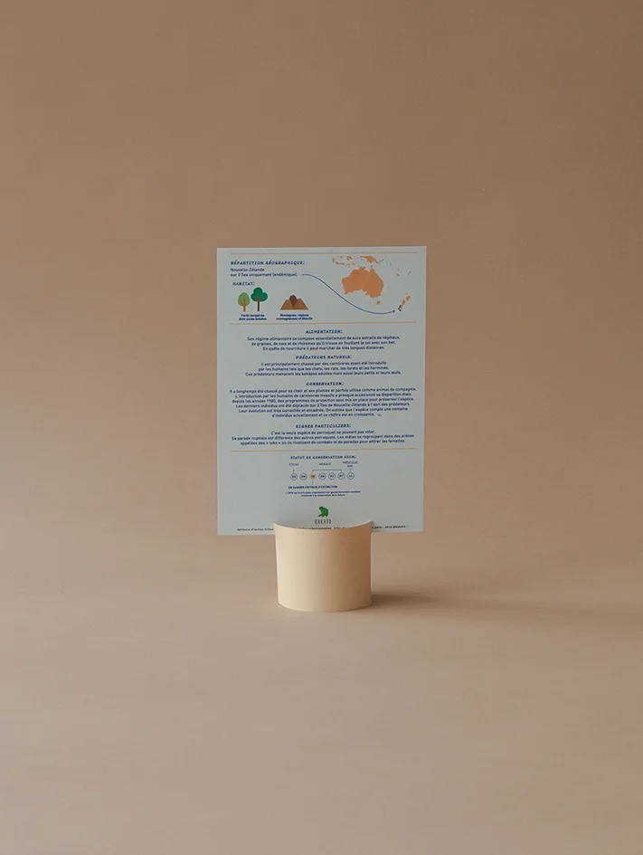Le kakapo - Les fiches sur les animaux rares de Kakapo - Info et illustration sur le strigops habroptila - Kakapo - Nouvelle marque responsable - Artisanat français - Nouveauté
