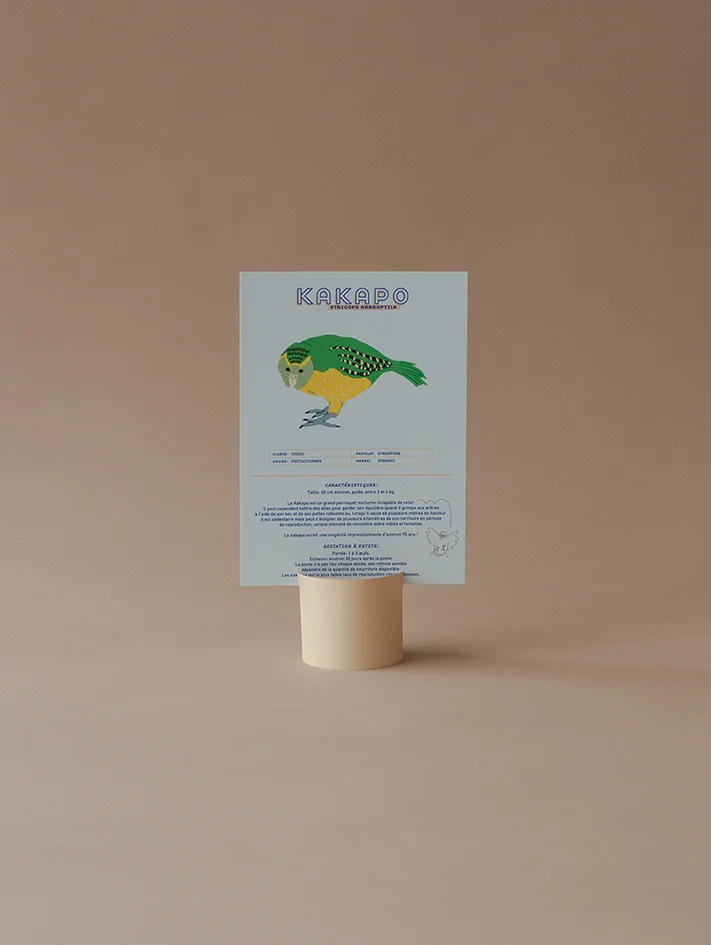 Le kakapo - Les fiches sur les animaux rares de Kakapo - Info et illustration sur le strigops habroptila - Kakapo - Fiche pédagogique animaux - Made in France - Nouveauté