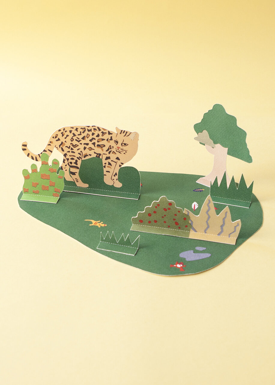 Les animaux rares de KAKAPO - Des jouets en bois artisanaux et des jeux  fabriqués en France pour sensibiliser les enfants à la protection de la  Nature.