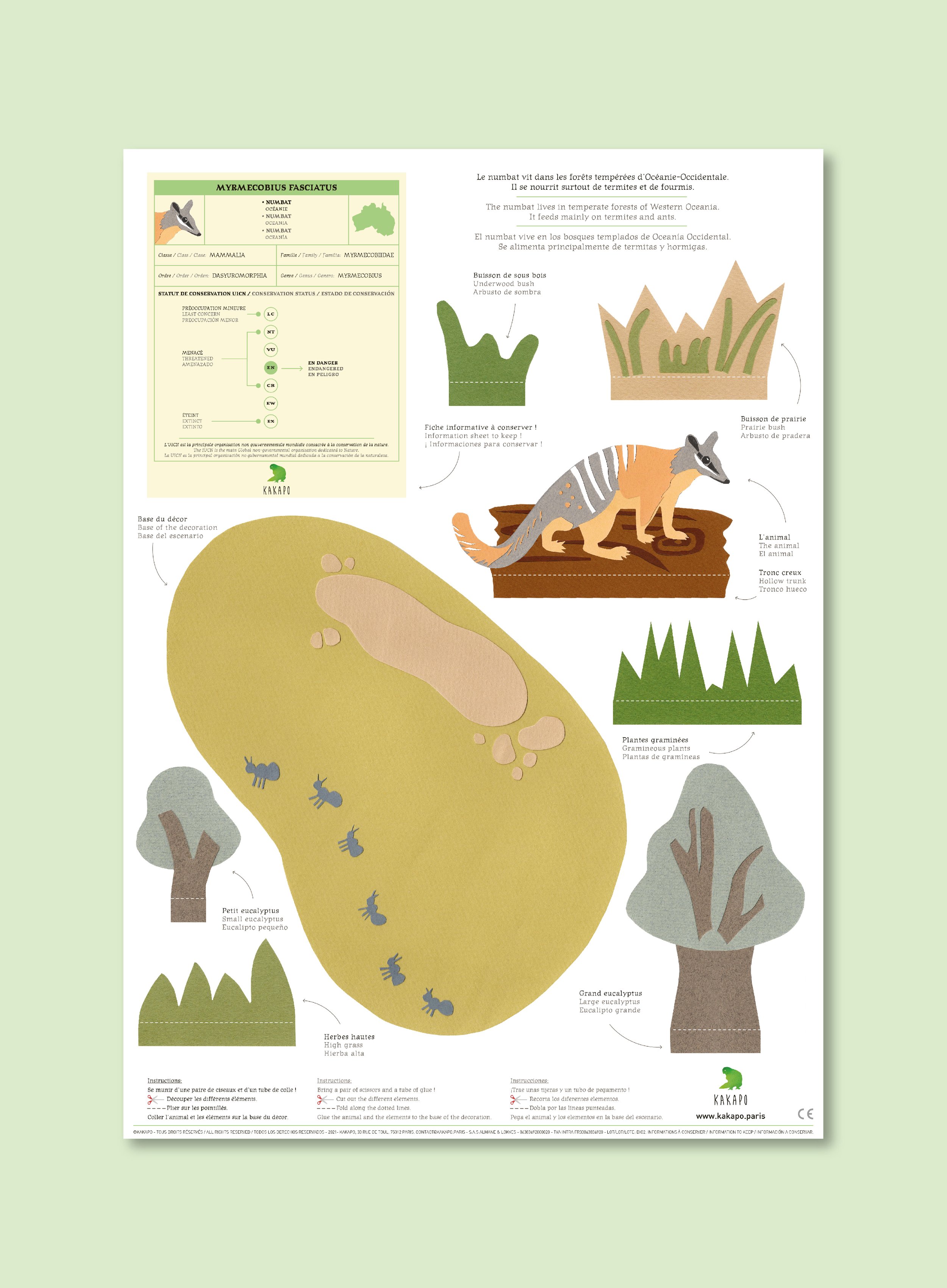 Diorama+le+numbat+d'Océanie.+Kakapo+Paris+propose+une+collection+de+dioramas+montrant+des+animaux+rares+dans+leur+milieu+naturel.jpg