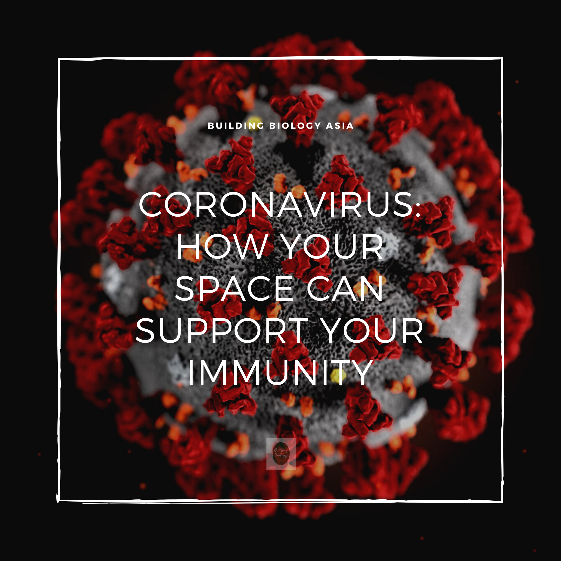 Coronaviruses: How to Keep Your Home Spaces Safe and Immunity Strong