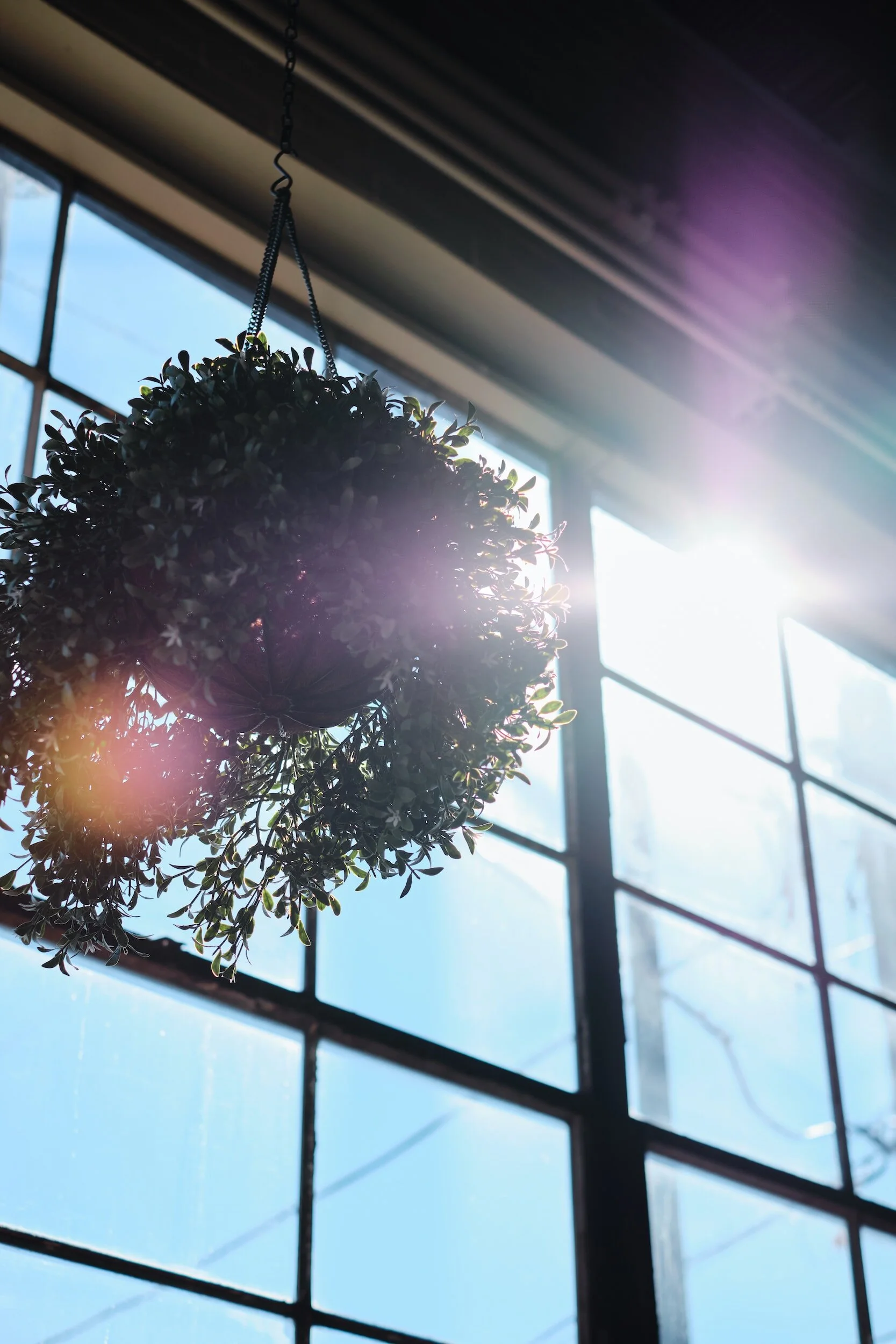 Your Home and Vitamin D – Why You Are Probably NOT Getting Enough