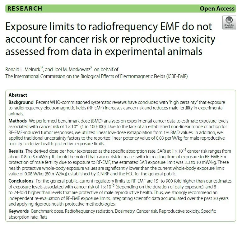 Research: Exposure Limits to Radiofrequency Emf Do Not Account for Cancer Risk or Reproductive Toxicity Assessed from Data in Experimental Animals