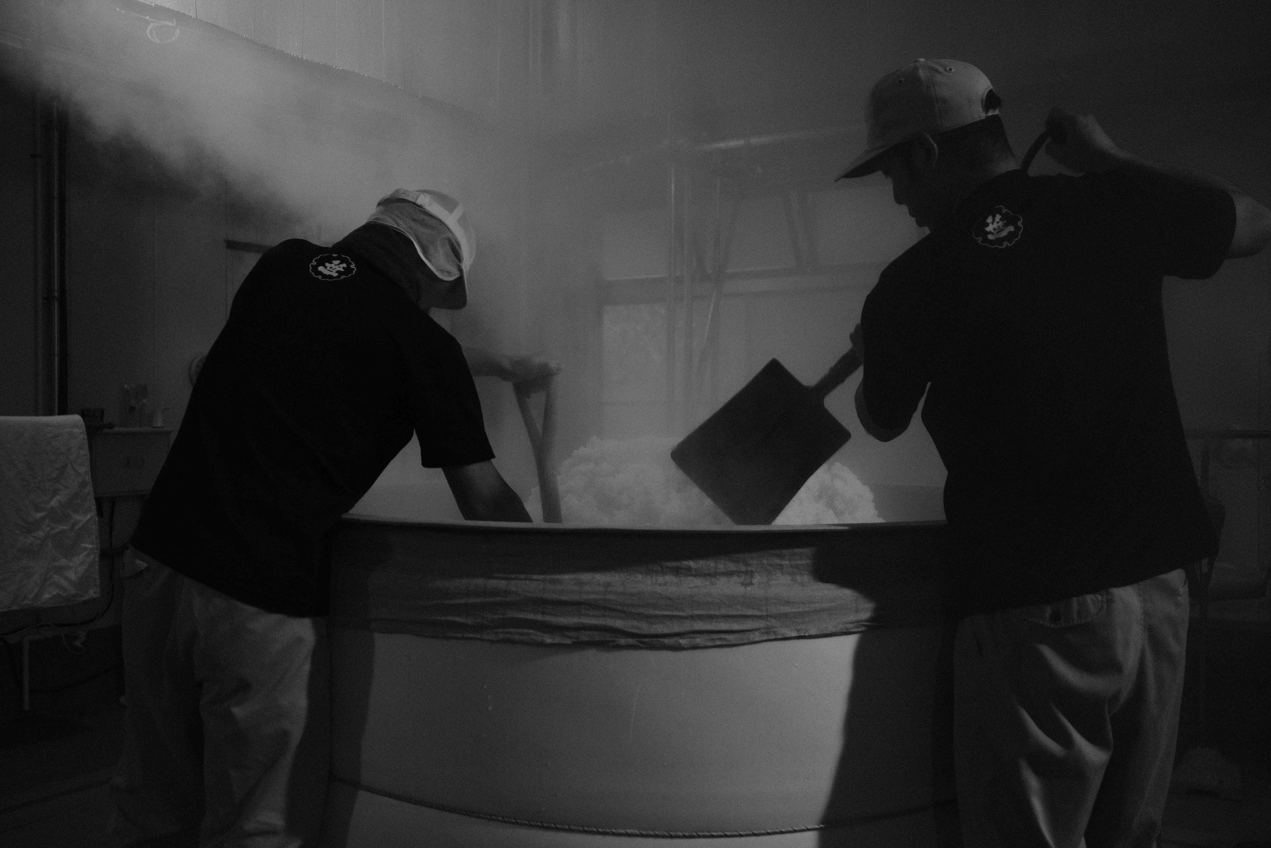 Brewers at Sasaichi shovelling out steamed rice.