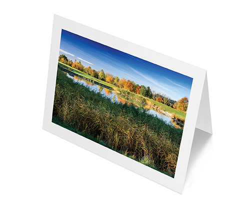 A6L Golf Course .jpg