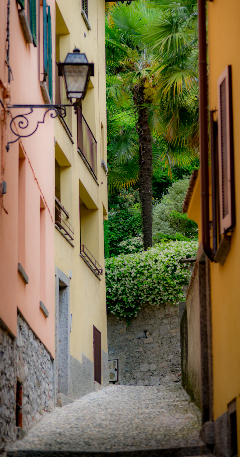 ▲Bellagio Backstreet