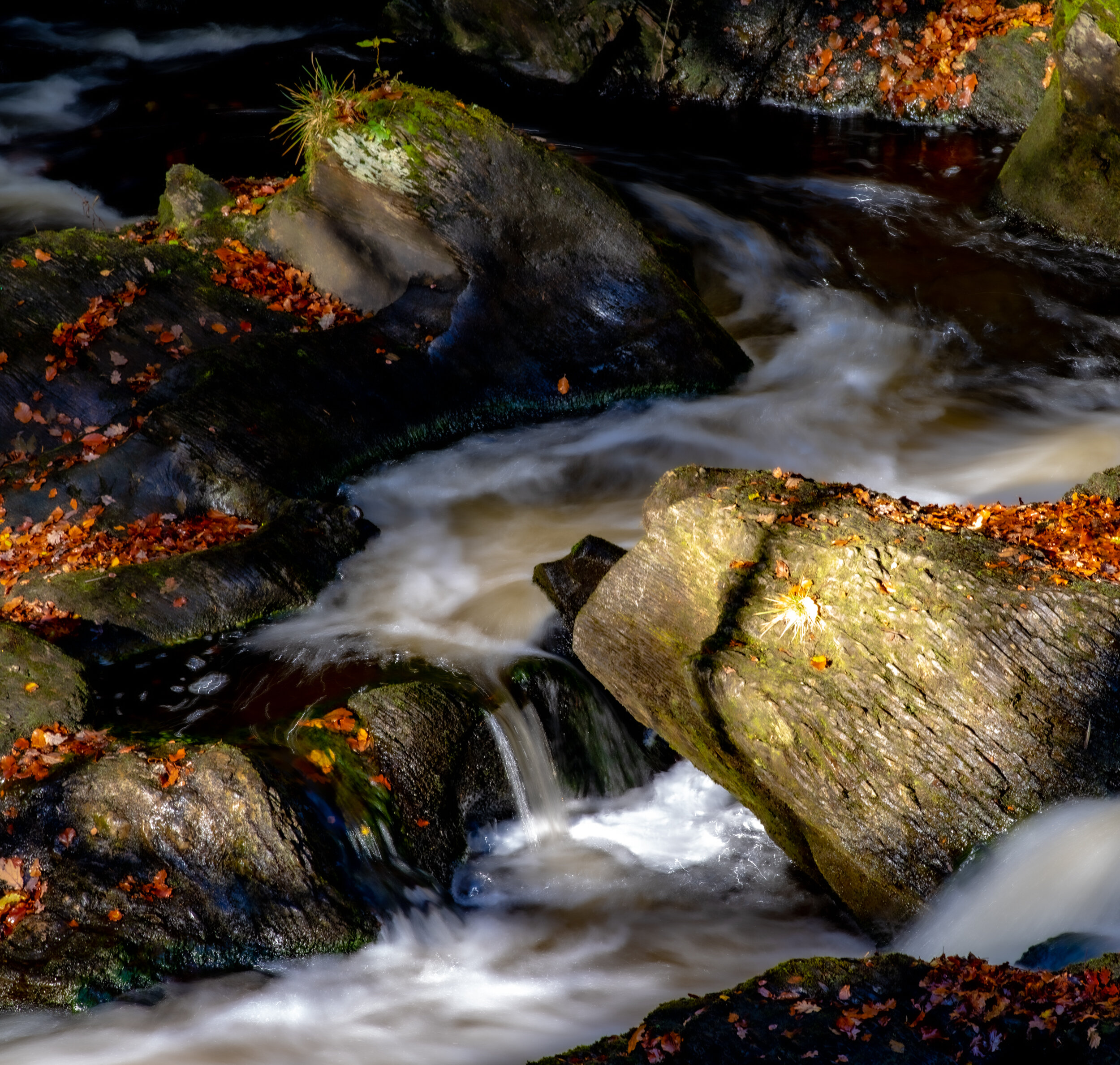 Glen Finglas Burn