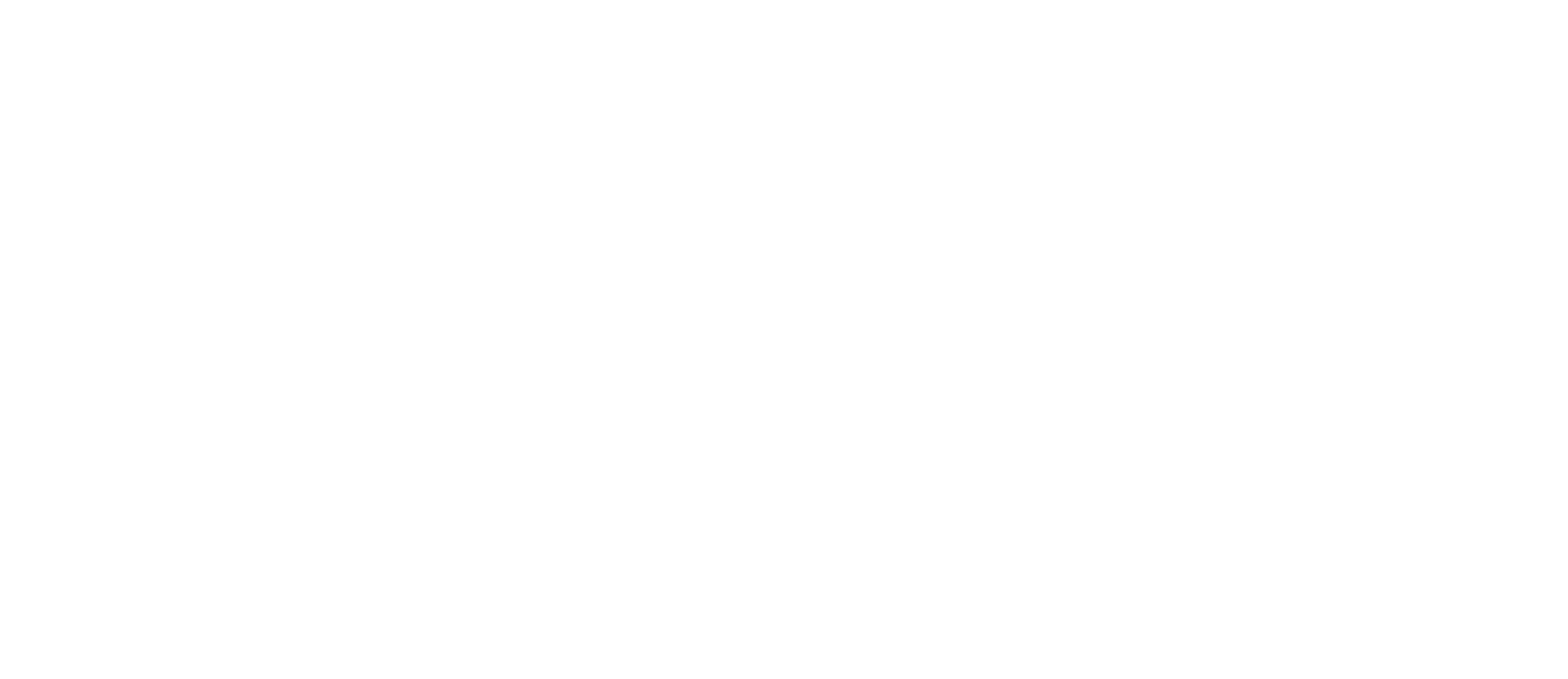 O2NoseFilters-Logo-White.png