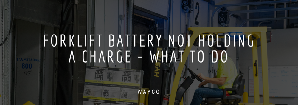 Forklift Battery Not Holding A Charge What To Do Wayco Best Forklift Warranties Safety Training
