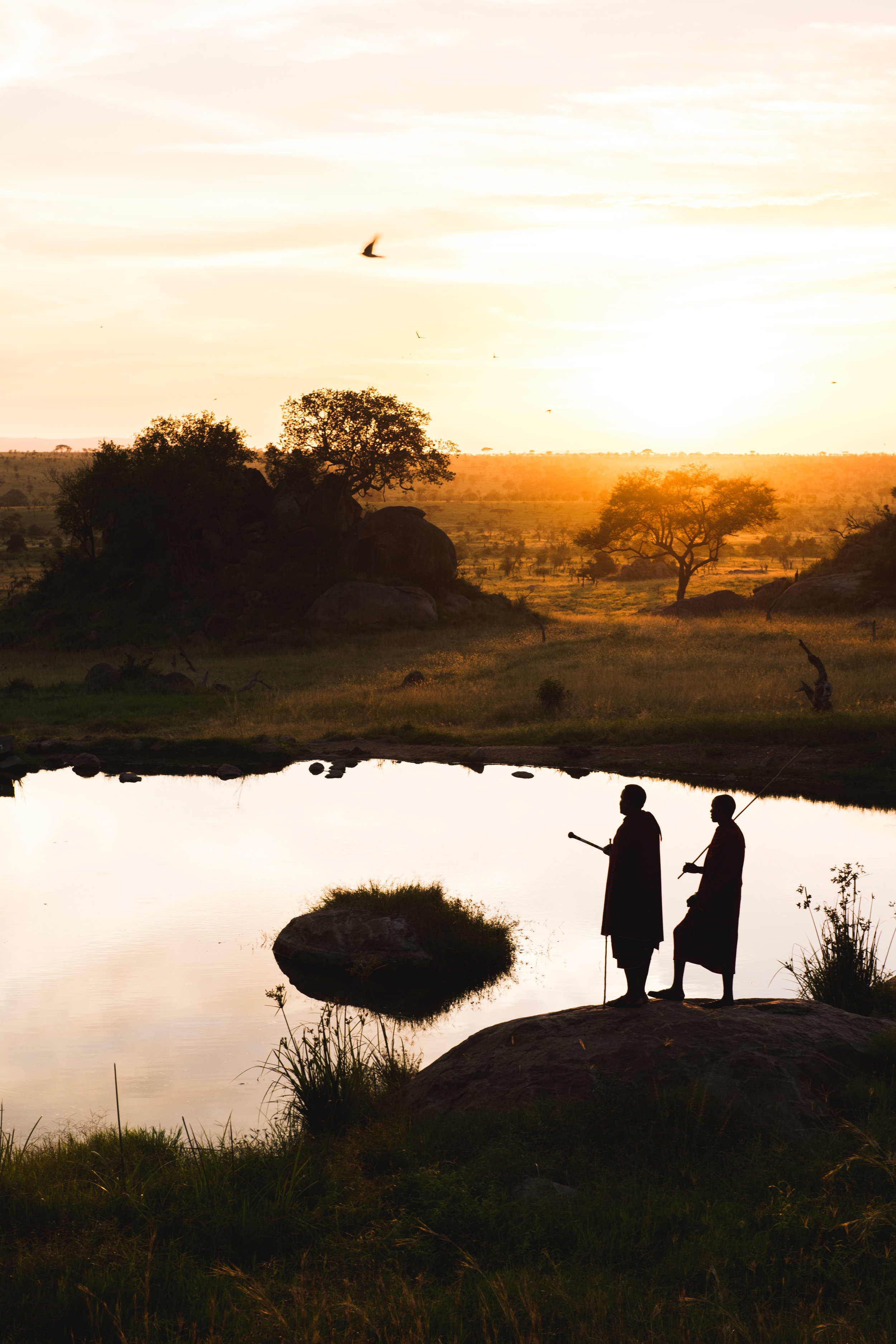 Four seasons Serengeti