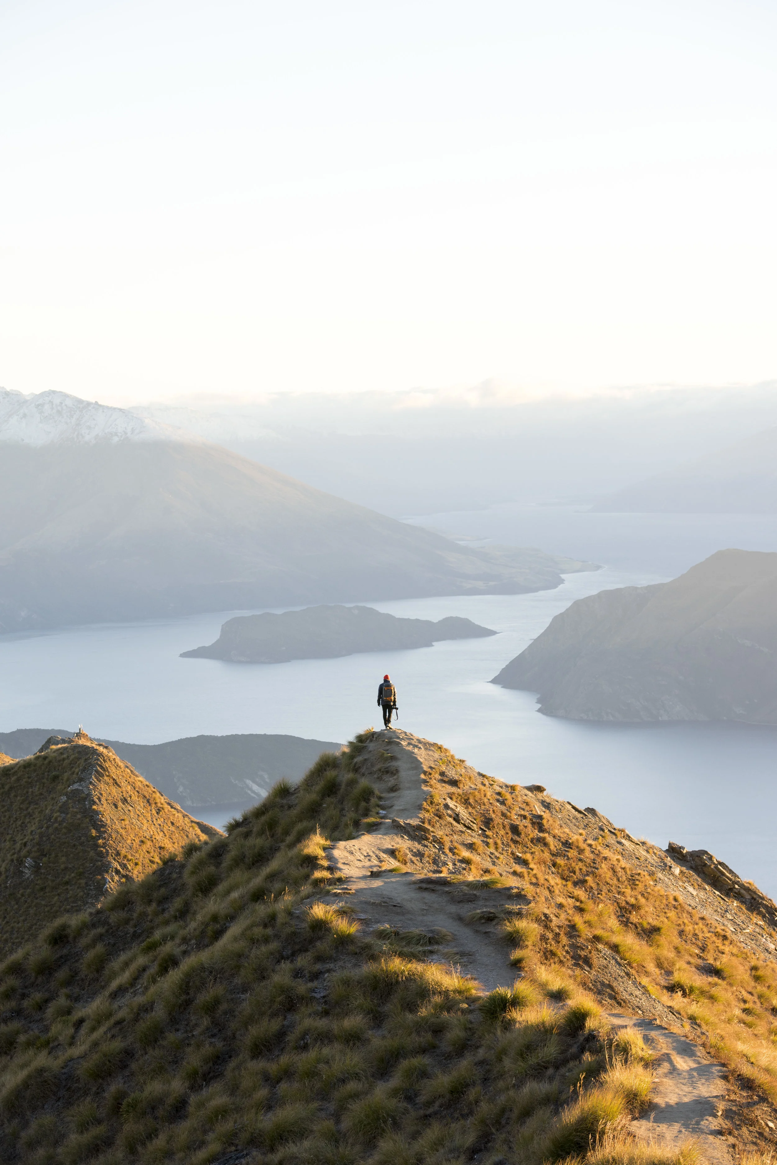 NZ28.jpg