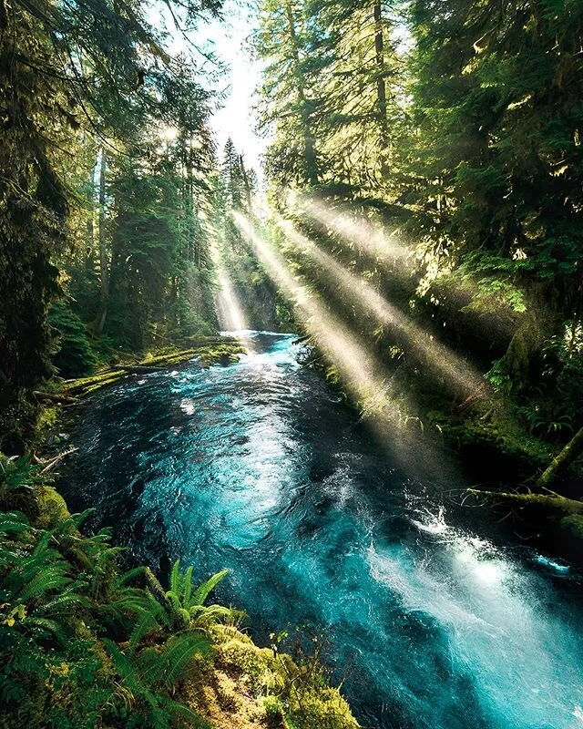 Sunday beams✨
16-35mm | 1/160 | F/6.3 | ISO 250