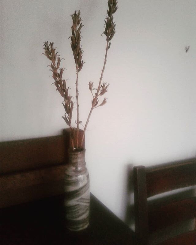 Another recent pot with some winter weeds. #ceramics #pottery #hakame #saltfired #soda #shino #sodaglaze