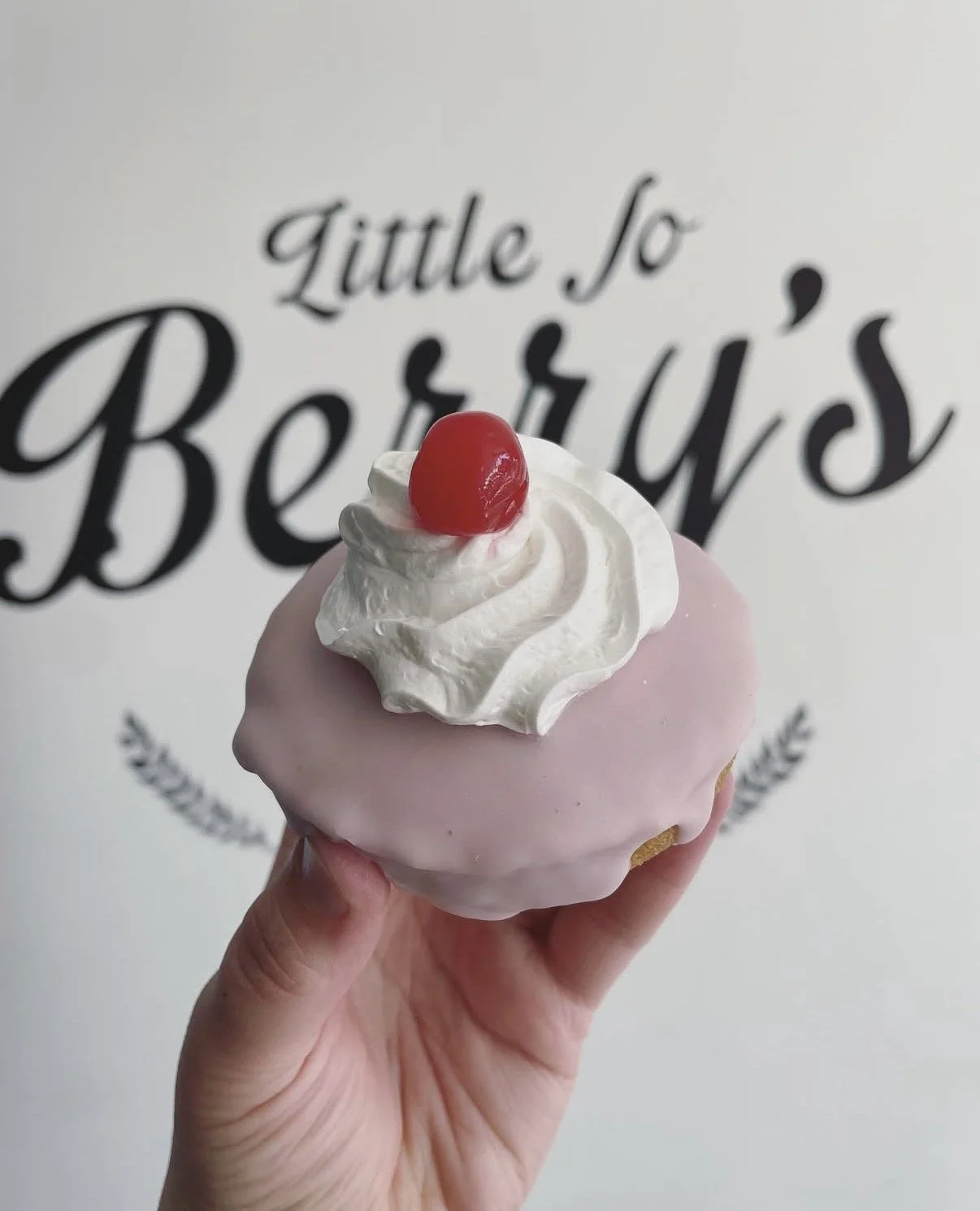 Gluten Free Donuts 6 Pack