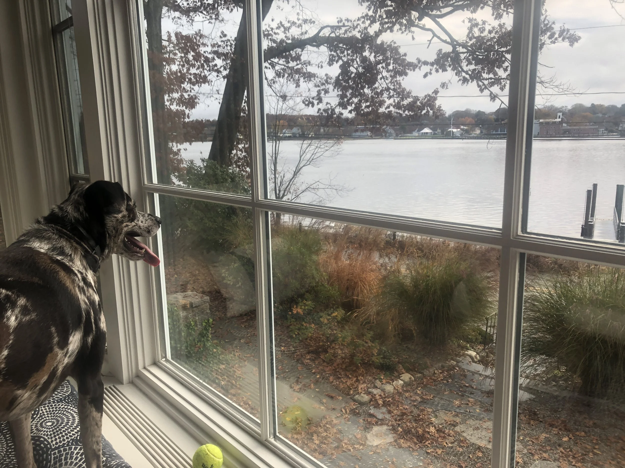 You’re not wrong, We’re just not there yet. ~ On the topic of Sustainability