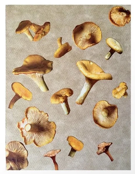 Shiitake Happens Workshop