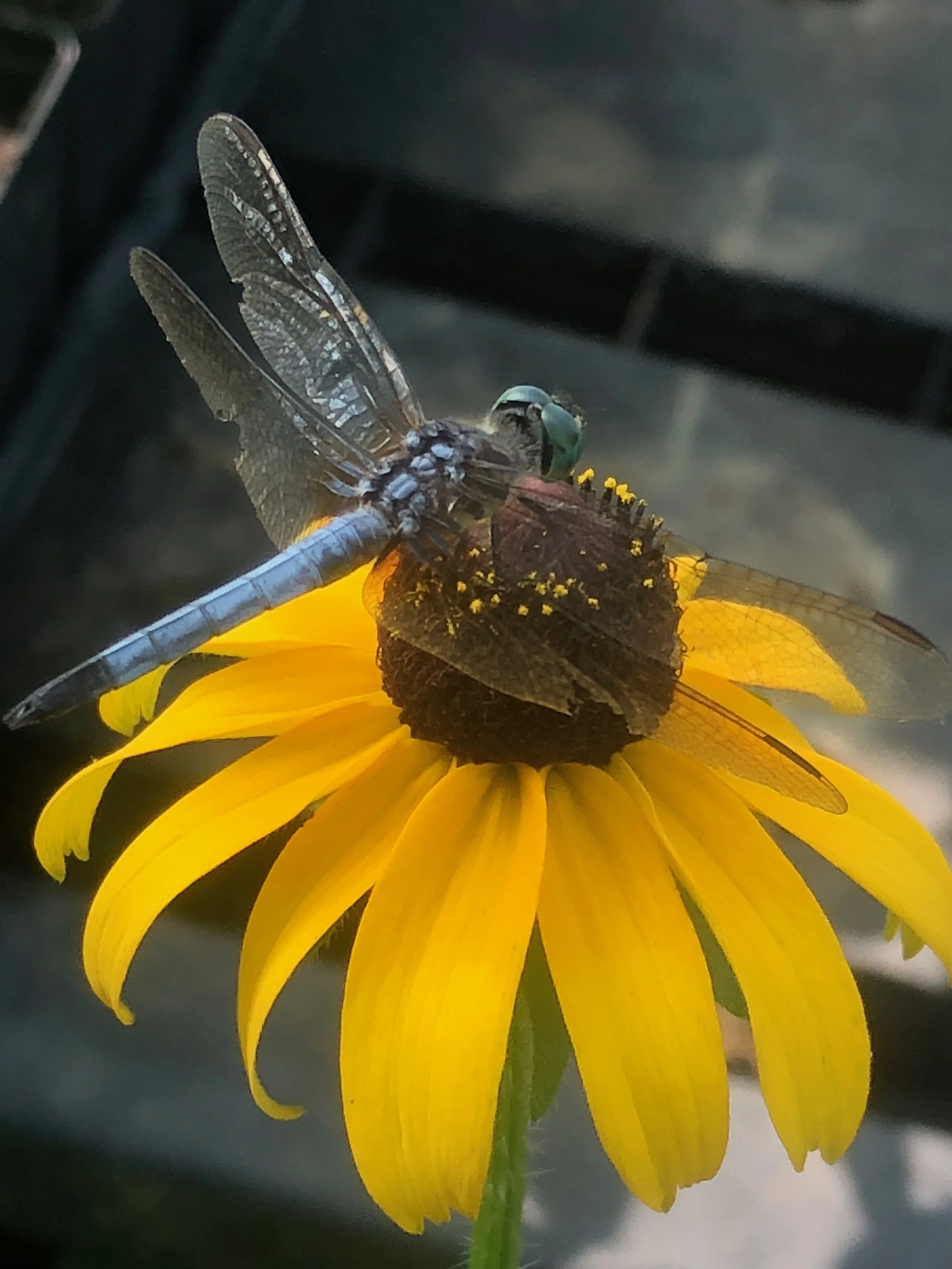 On the Topic of Balance