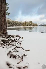 Tapping into Your Roots: 