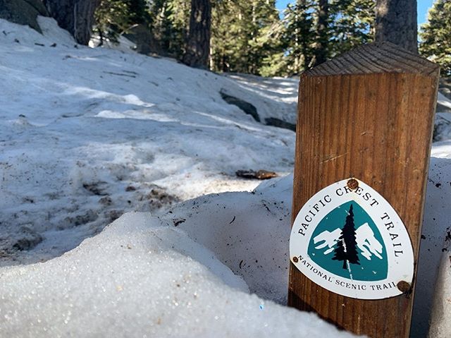 PCT | Mile 221 | Day 20 
Currently at mile 454!

The hardest two days so far! We had to leave Claire in Idyllwild due to an overuse injury to her knee and Shaker to an inflamed Achilles - it felt so strange to leave without them. I wanted to wallow i