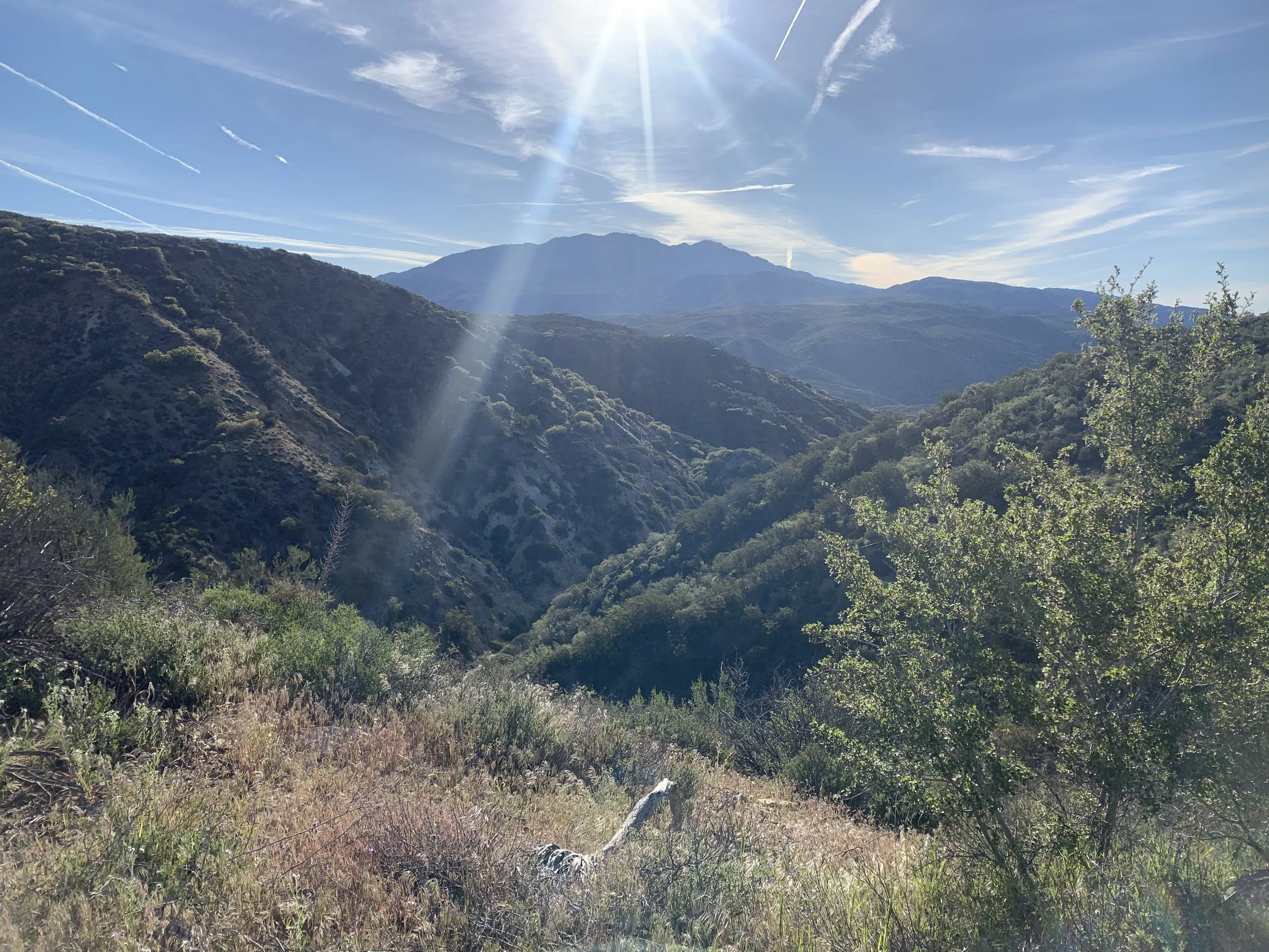 IMG_3580.jpeg