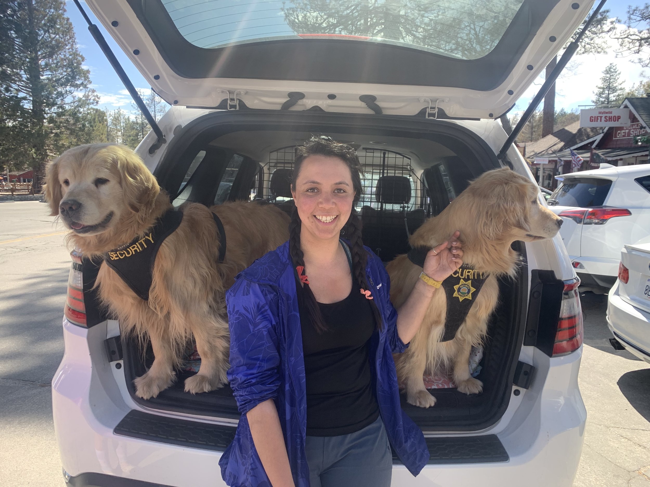 Yes, the Sheriff and the Deputy are also dogs!