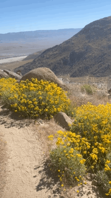 86E1DC0D-1861-4FFE-9C0D-833EC9C24D42.gif