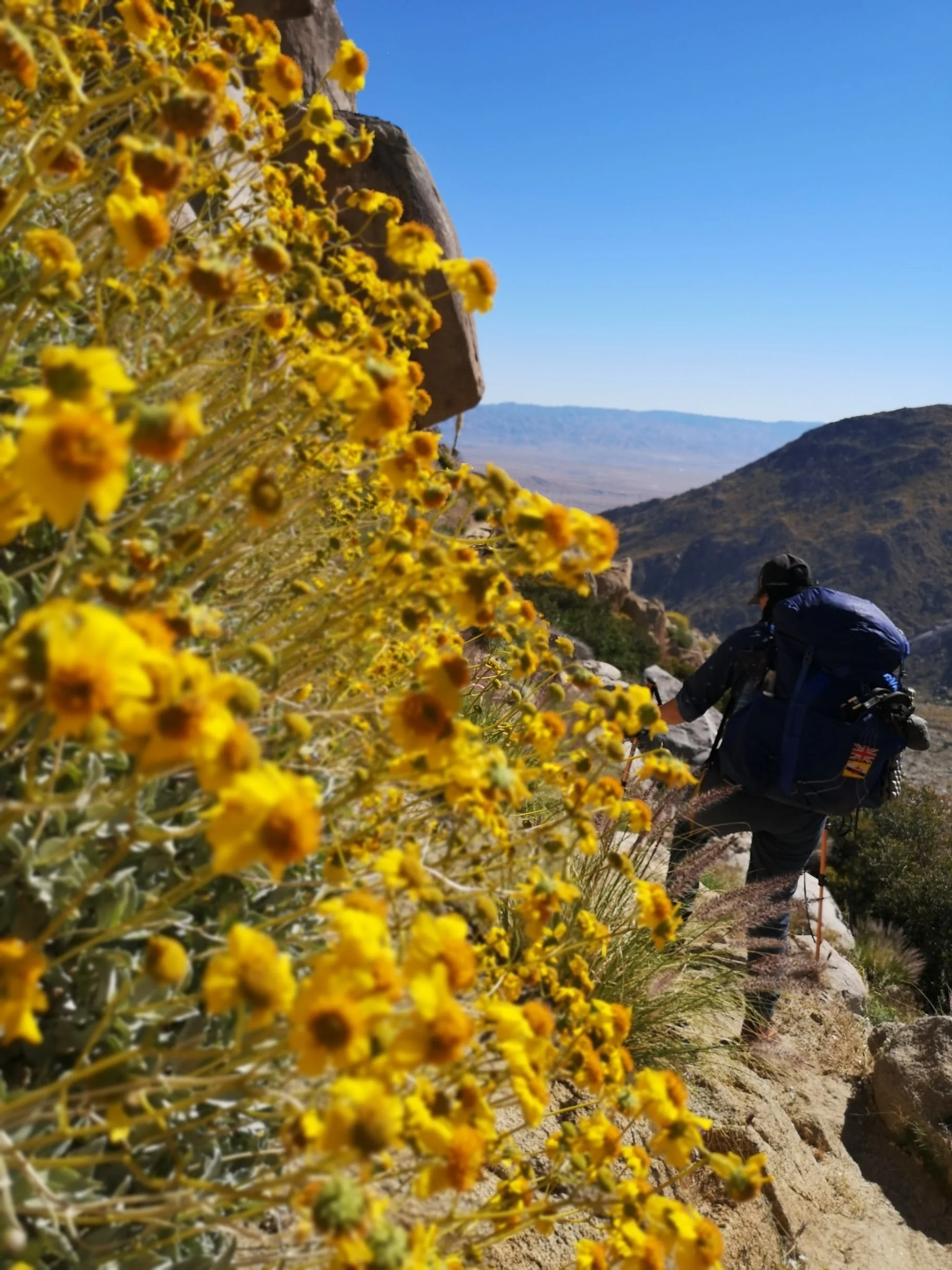 Mile 179 - 209.5 | Crampon crampoff, all the way to Cabazon!