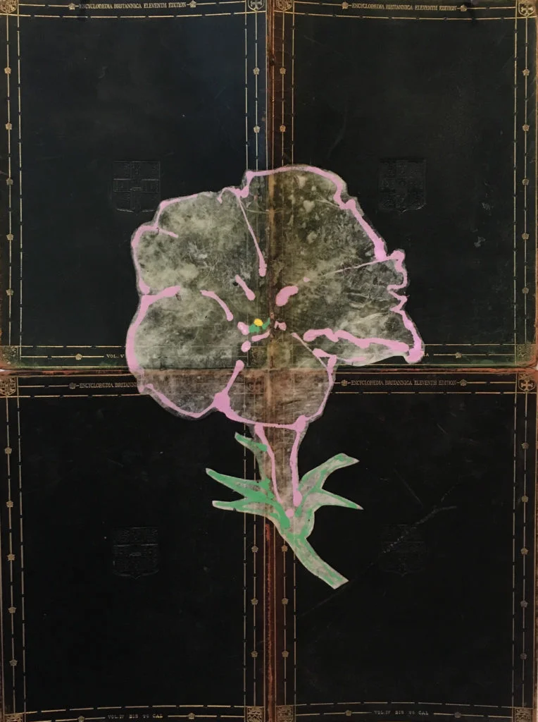 Robert Kushner, Petunia, 2018 Such ubiquitous and silly summer bedding flowers, but when you look at just one blossom with their conic form and ruffles, they are amazingly complex.
