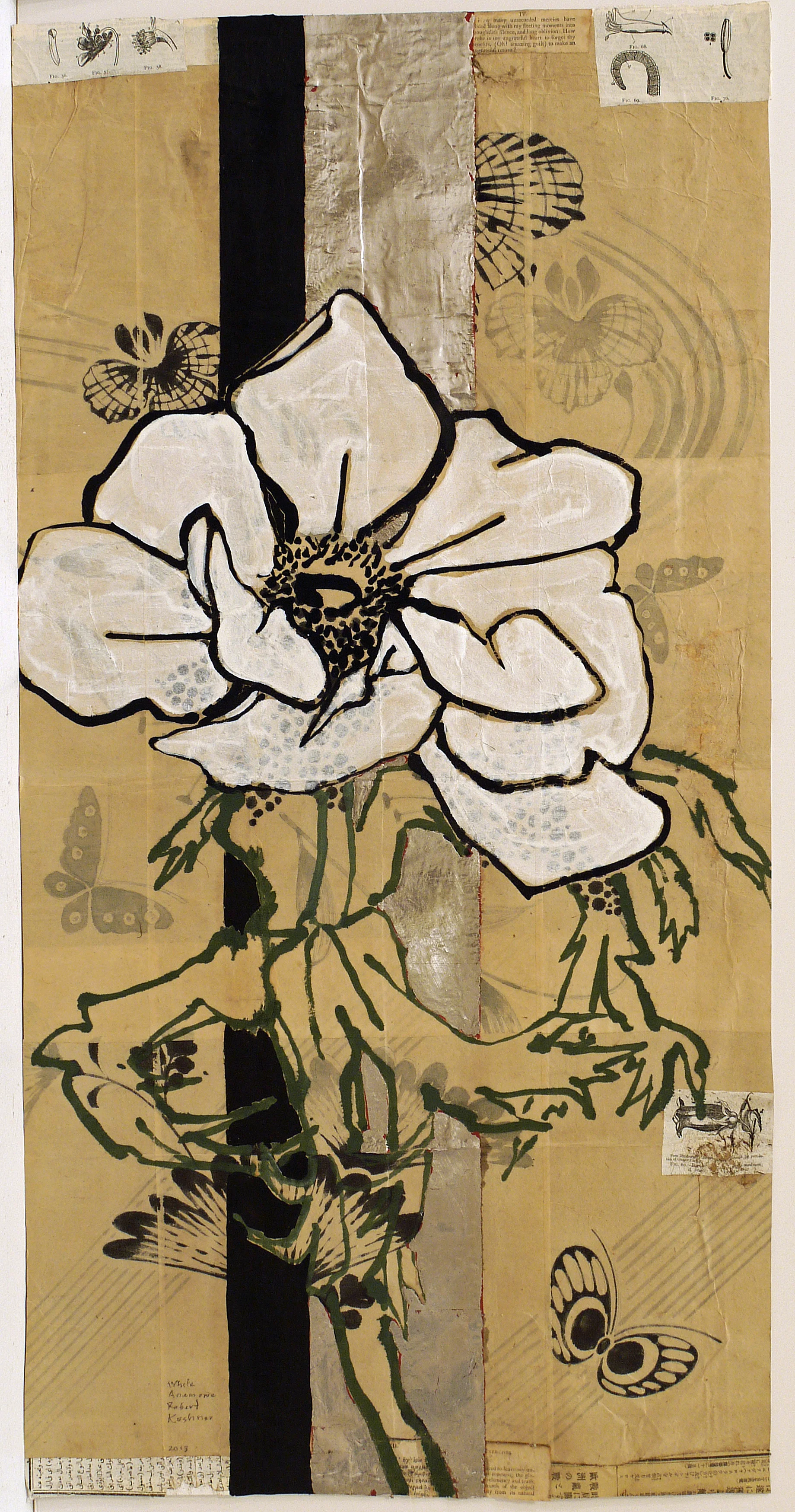 White Anemone, 2013
