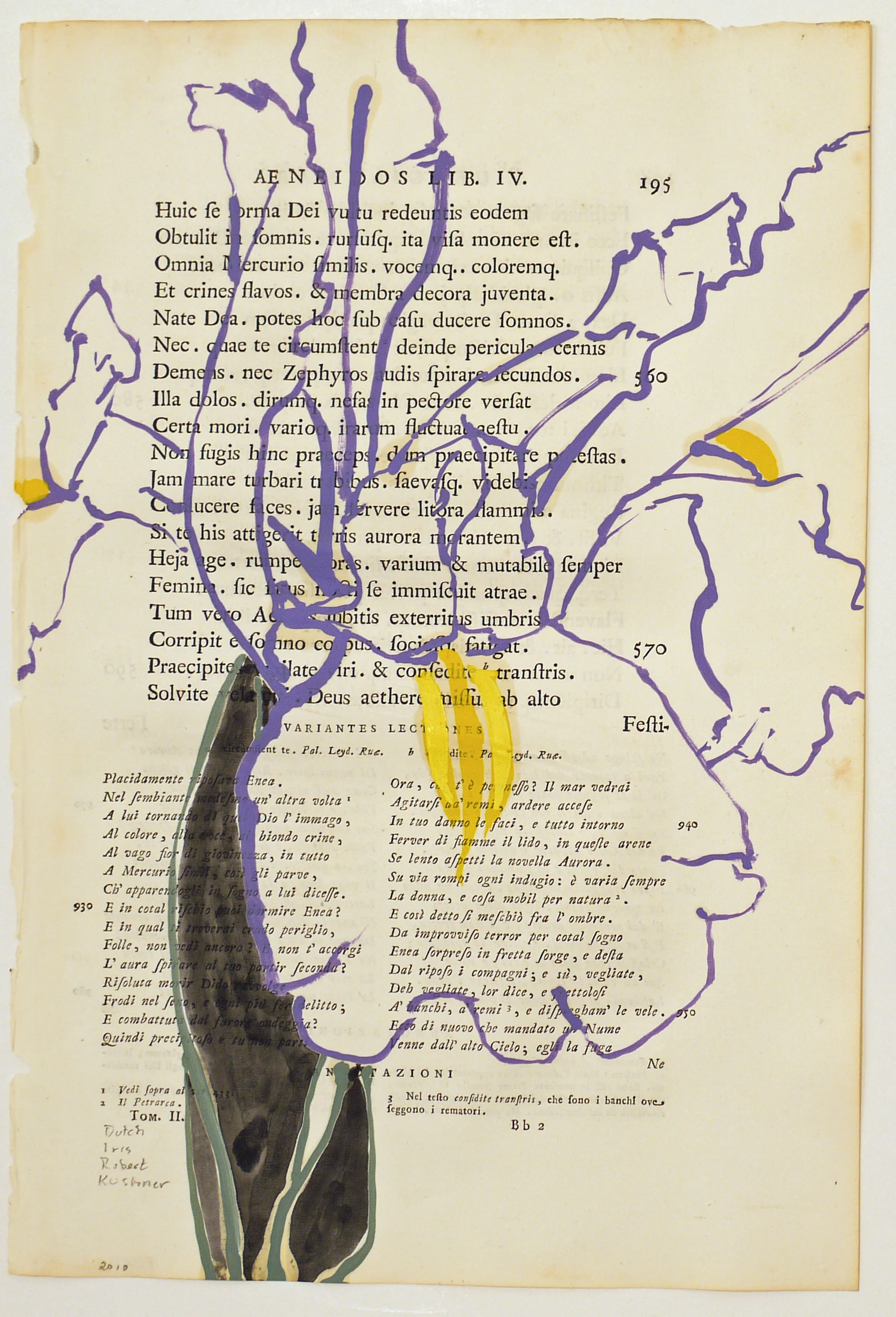 Dutch Iris, 2010