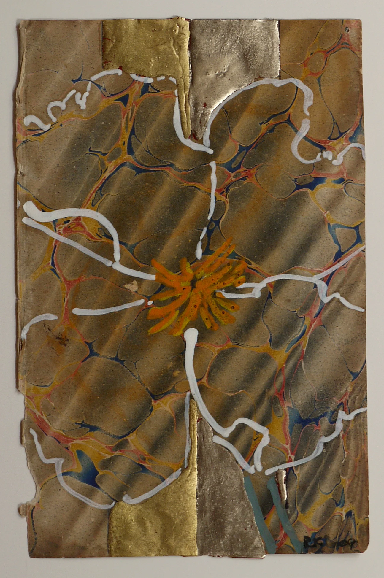 California Poppy, 2009