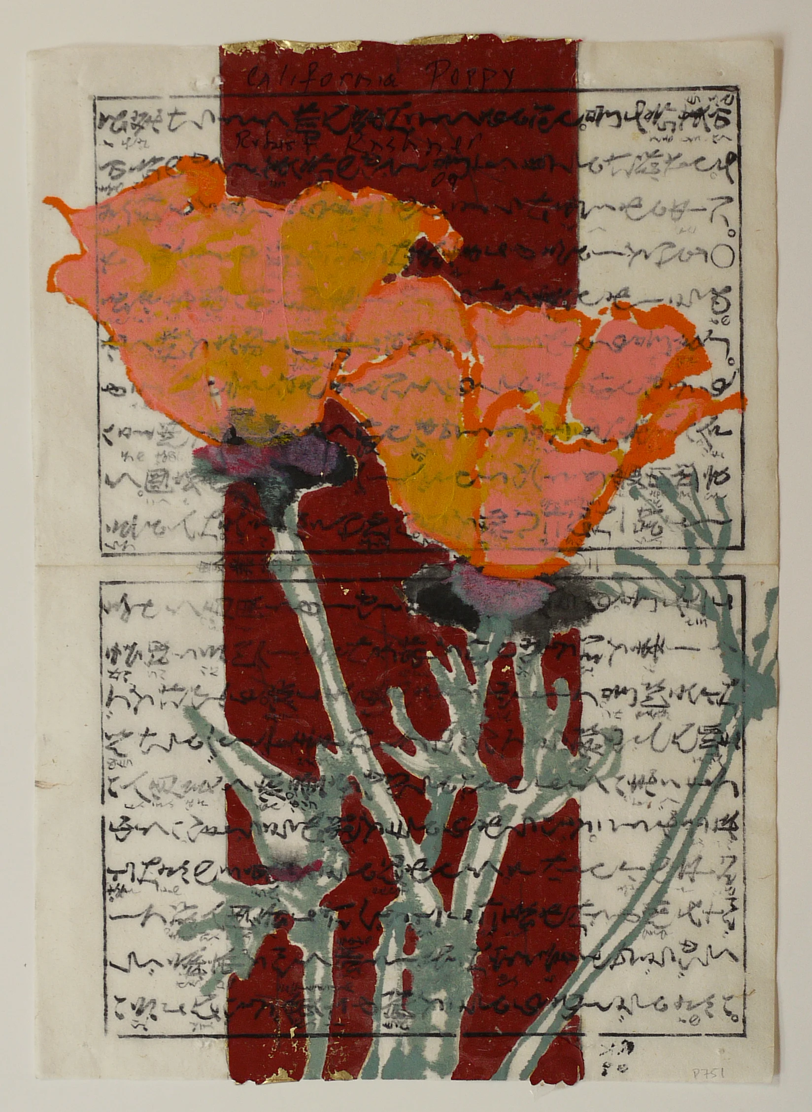 California Poppy, 2009