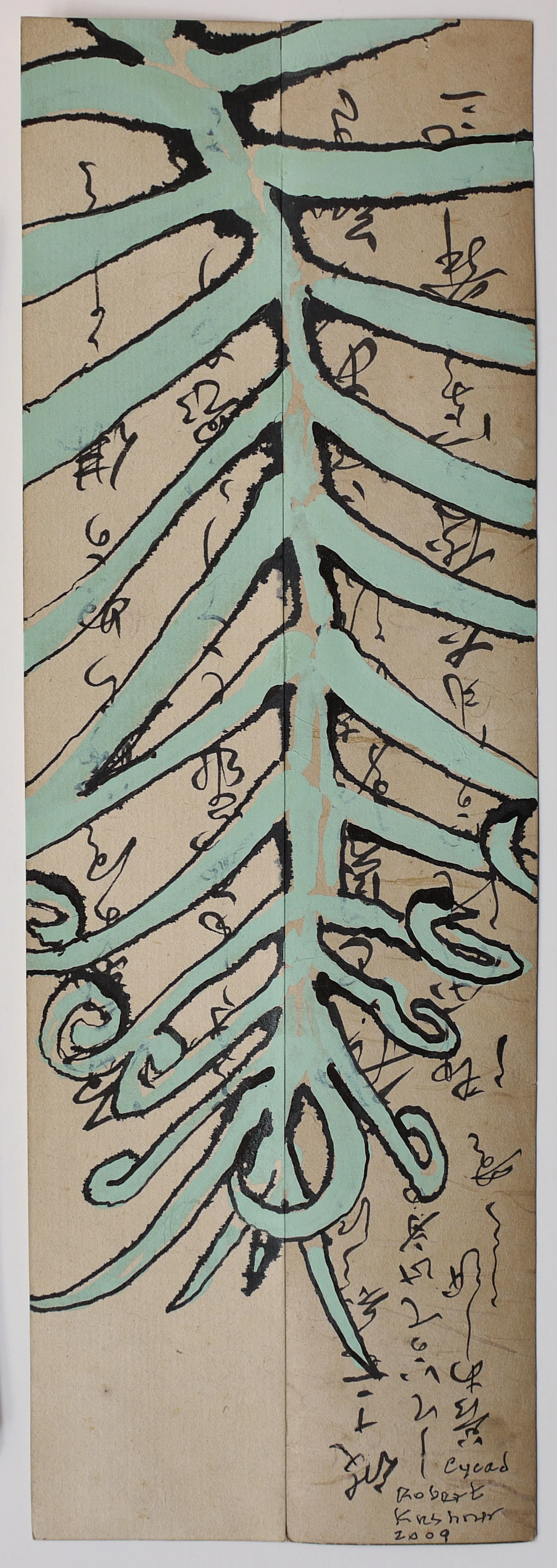 Cycad, 2009