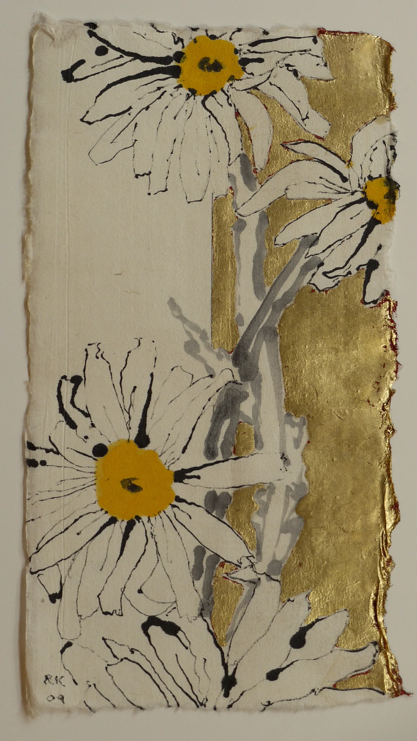 Daisies, 2009