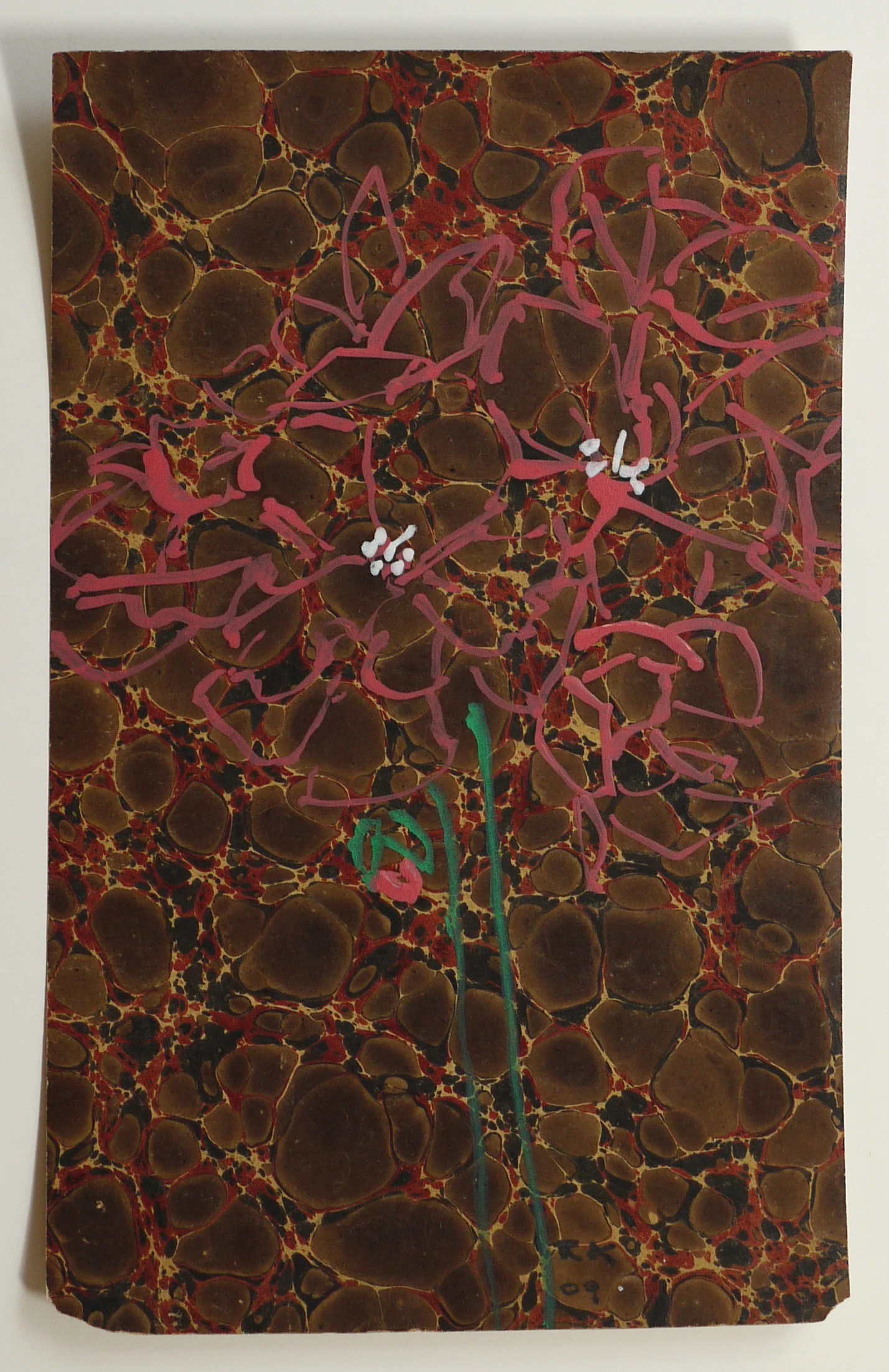 Geranium, 2009