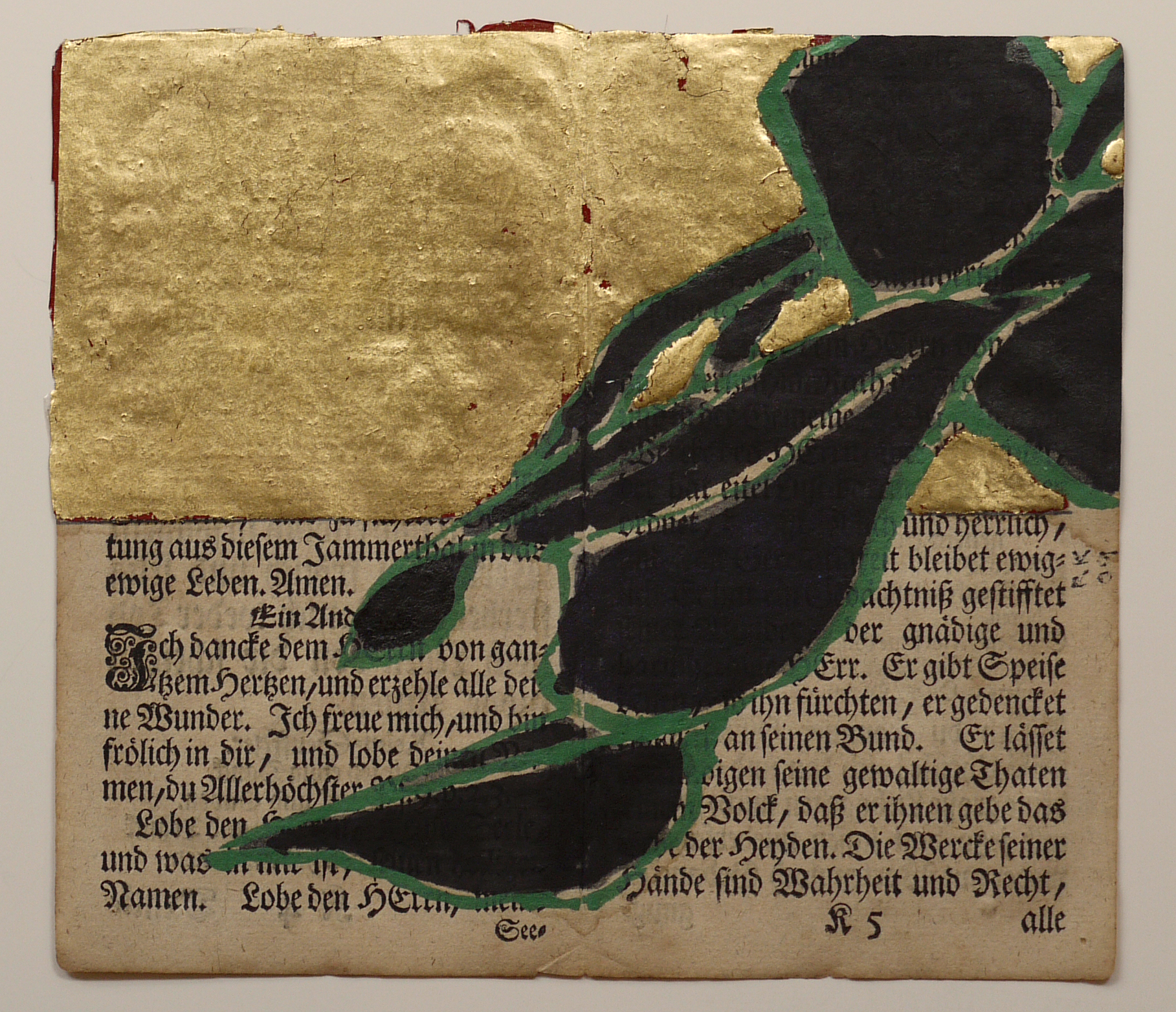 Philodendron, 2009
