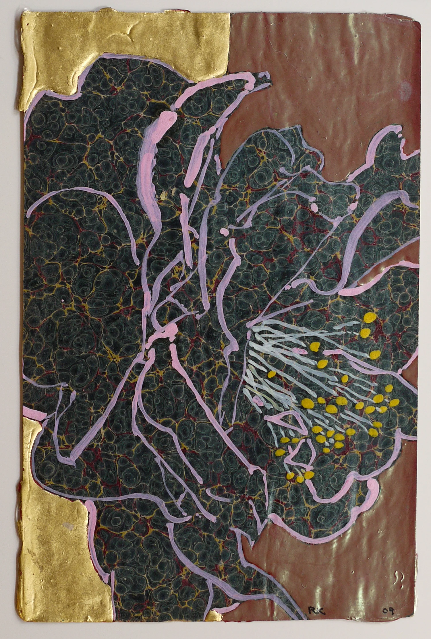 Pink Camellia, 2009
