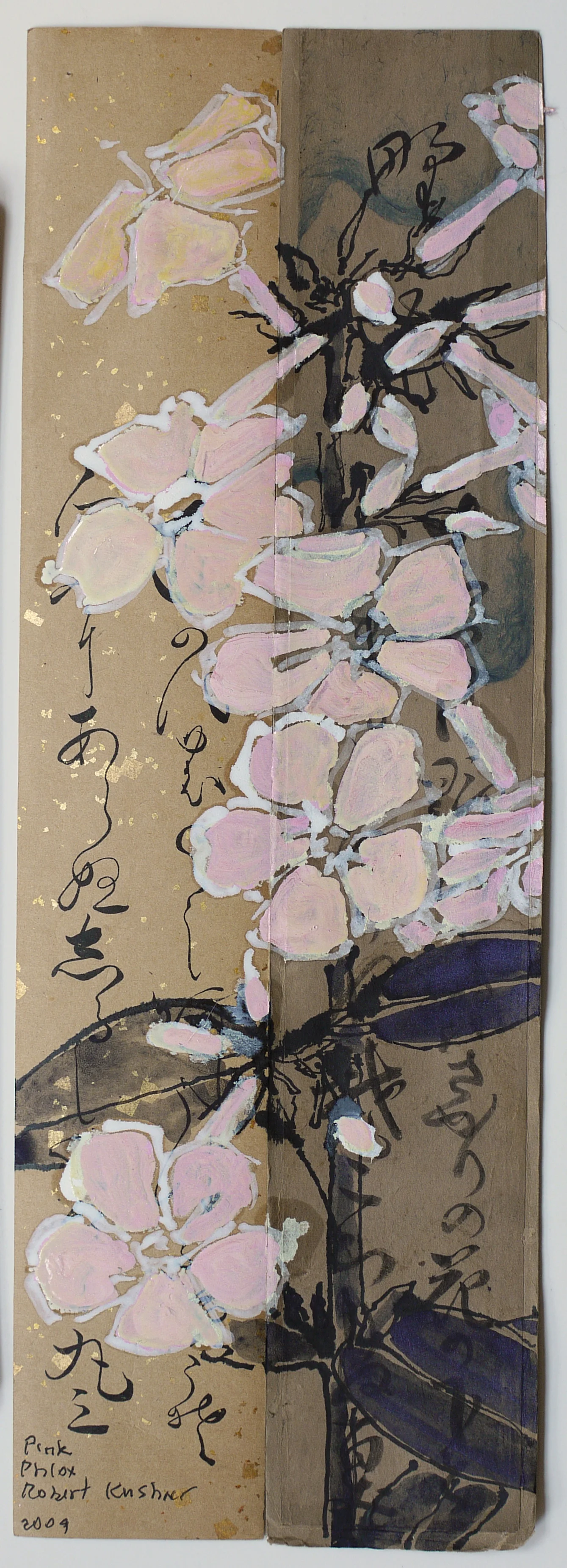 Pink Phlox, 2009