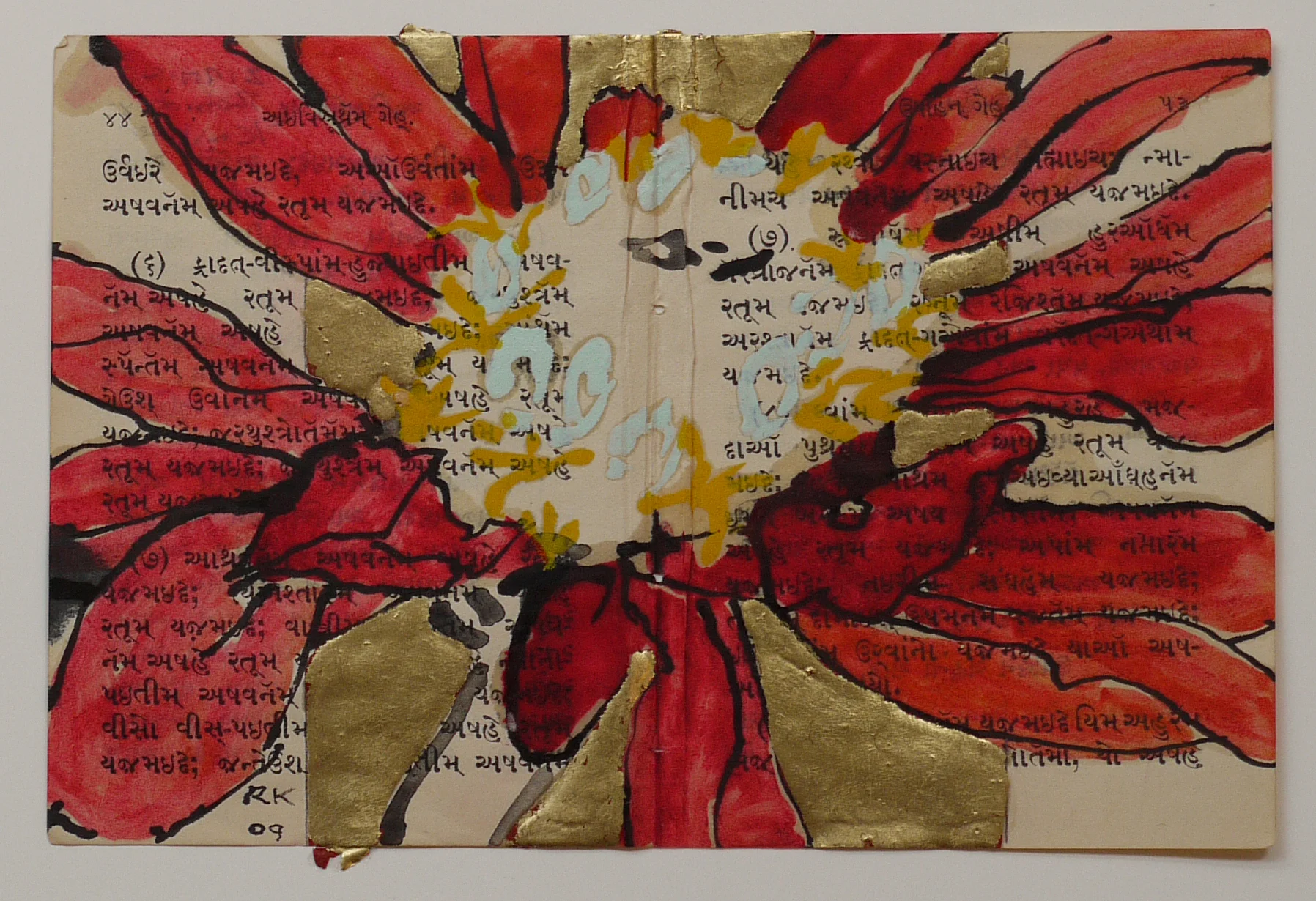 Zinnia, 2009