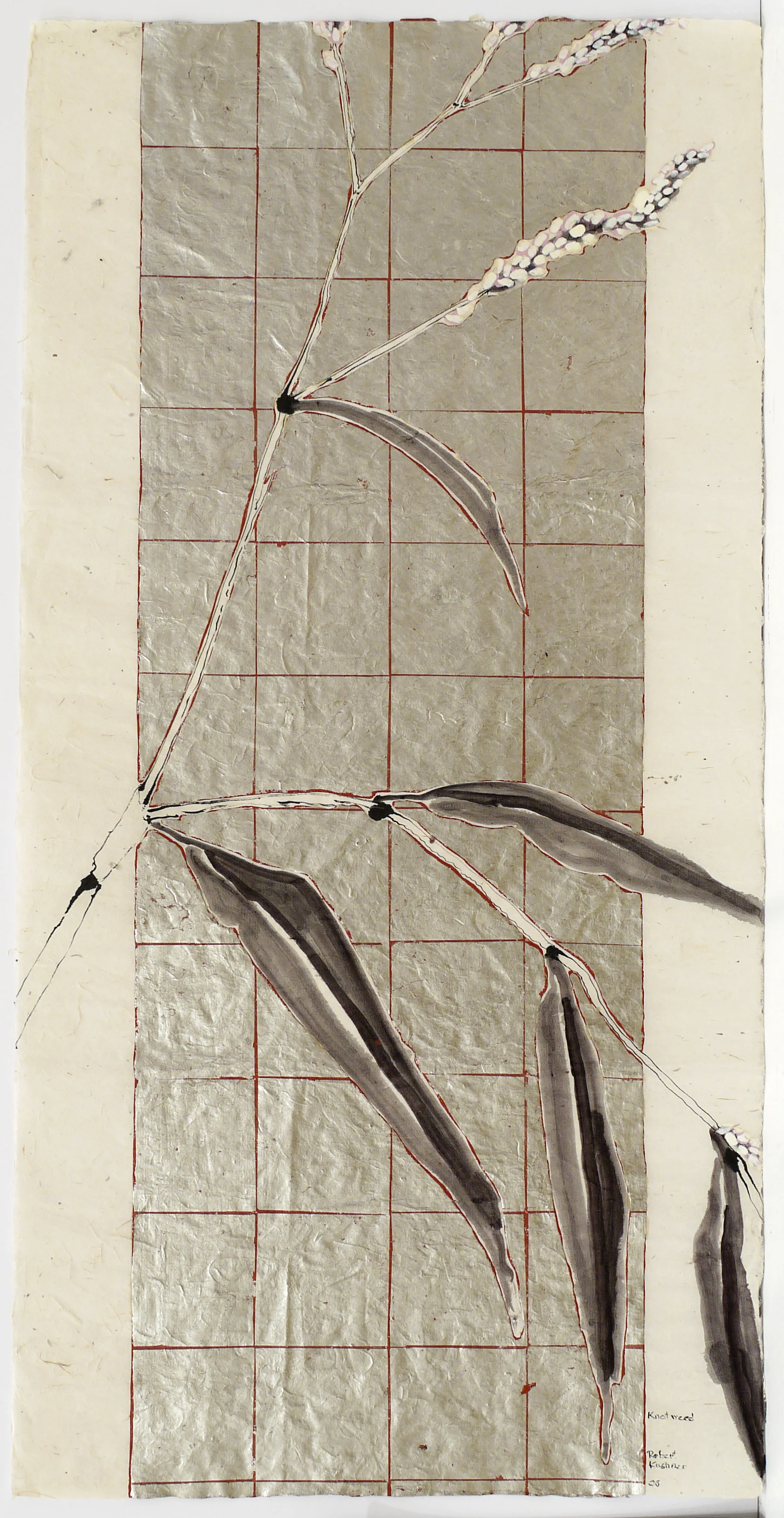 Knot Weed, 2006